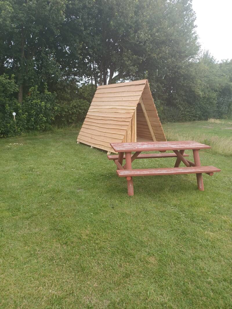 Shelter